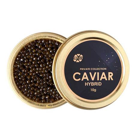 黑珀海博瑞鲟鱼子酱伊朗工艺即食黑鱼籽酱罐头10g罐包邮无