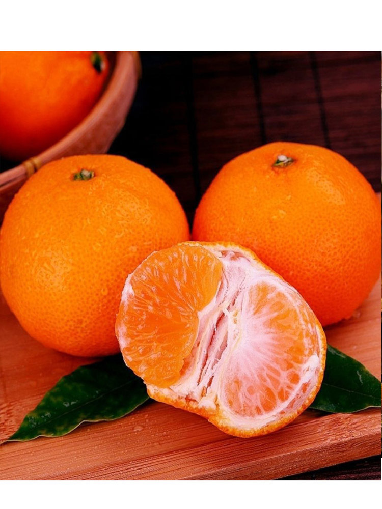 涌泉蜜桔4.5-5斤（约16-26个）