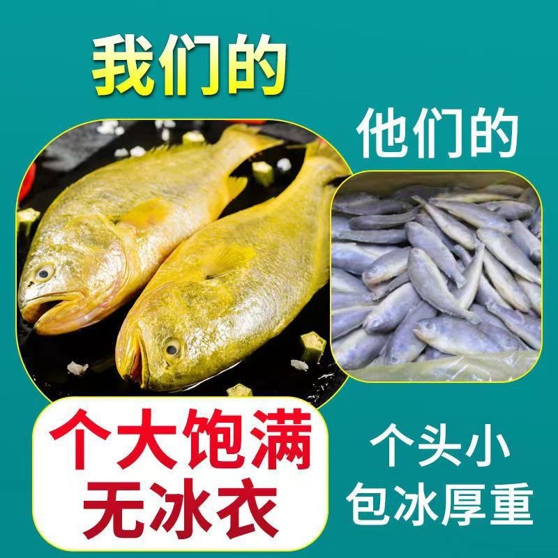 【顺丰冷链】精品4条深海捕捞野生大黄鱼（550-600g）
