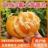 共同