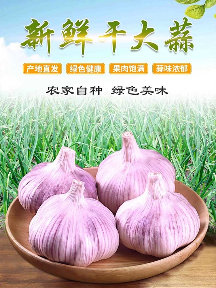 【5斤装】山东大蒜5斤装 蒜瓣饱满 蒜味浓郁 辣味纯正