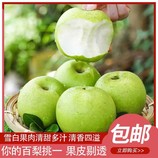 共同