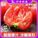 共同