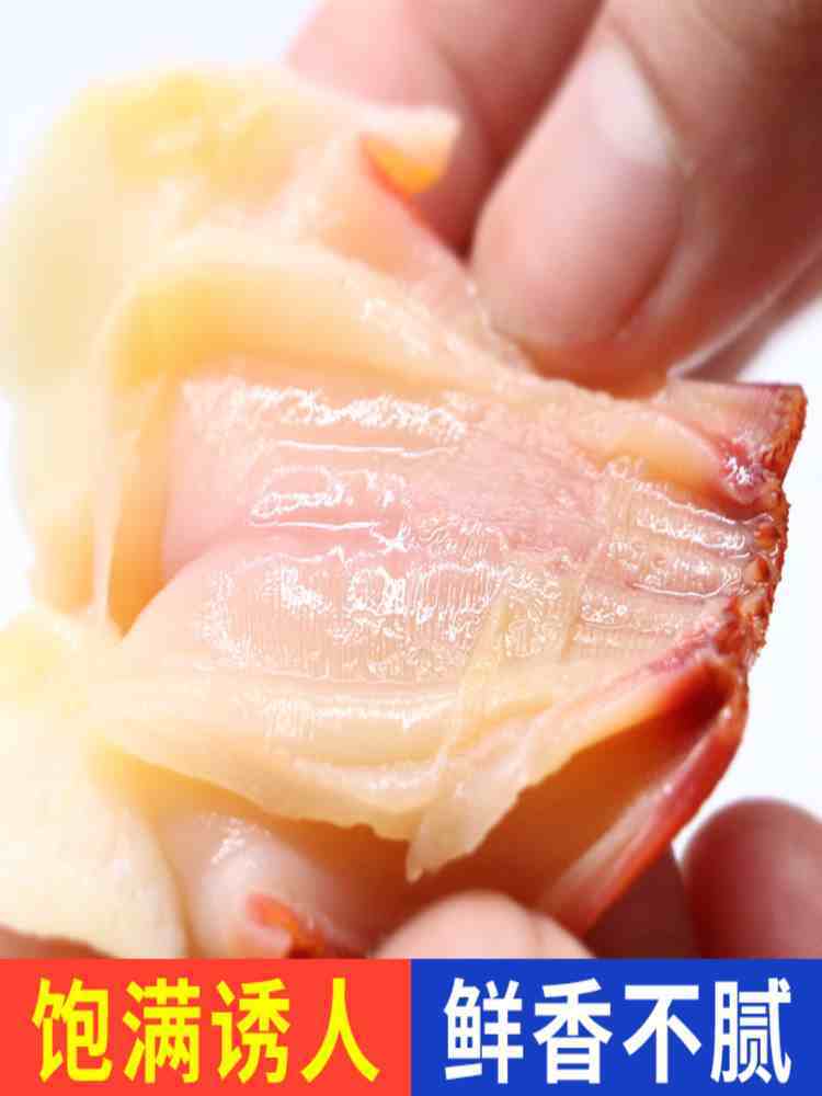 兰花蚌 500g*2袋 冰山蚌 象拔蚌 即食材日式寿司料理