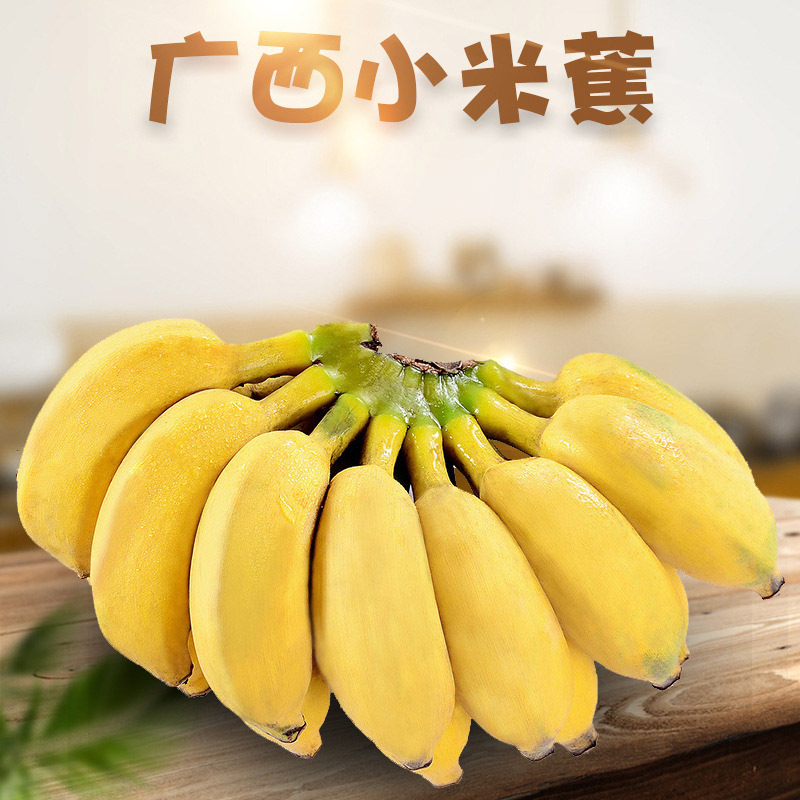 【精品水果】广西珍珠小米蕉9斤装 香甜软糯