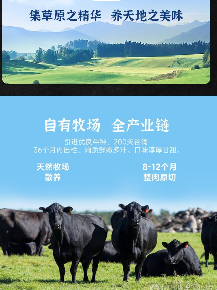 草原黄牛筋头巴脑·无