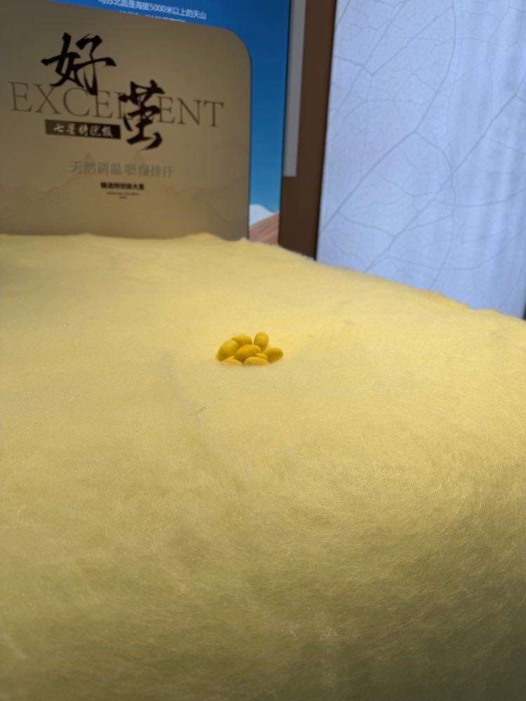 嘉信罗布麻黄金丝桑蚕丝被双人被