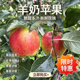 共同