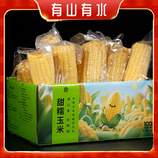 共同