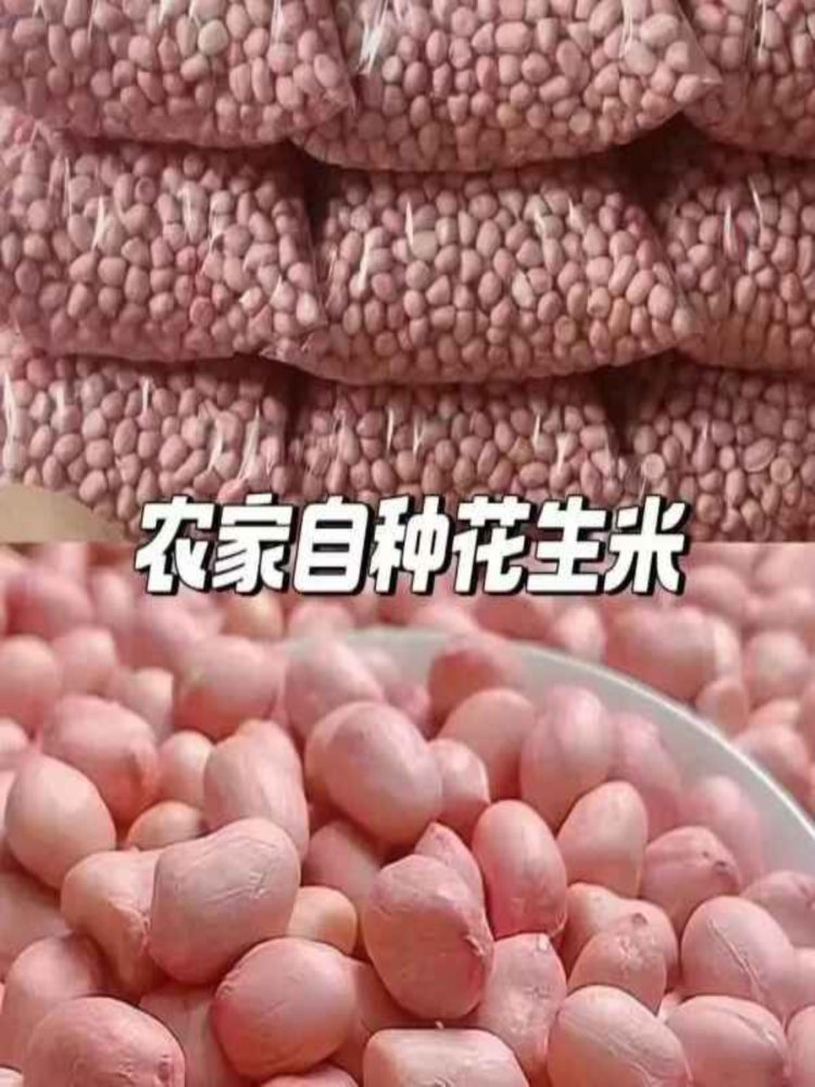 白沙花生 4斤 农家生花生米饭店袋装大颗粒 2025年新花生