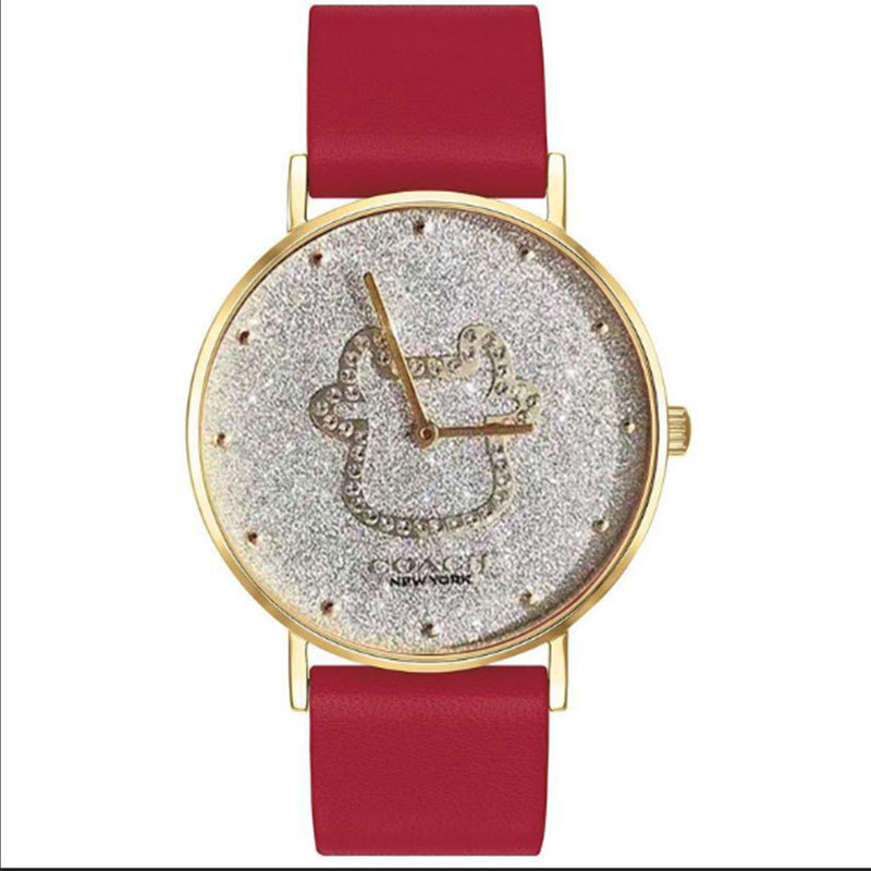 coach蔻驰牛年纪念款手表·星盘