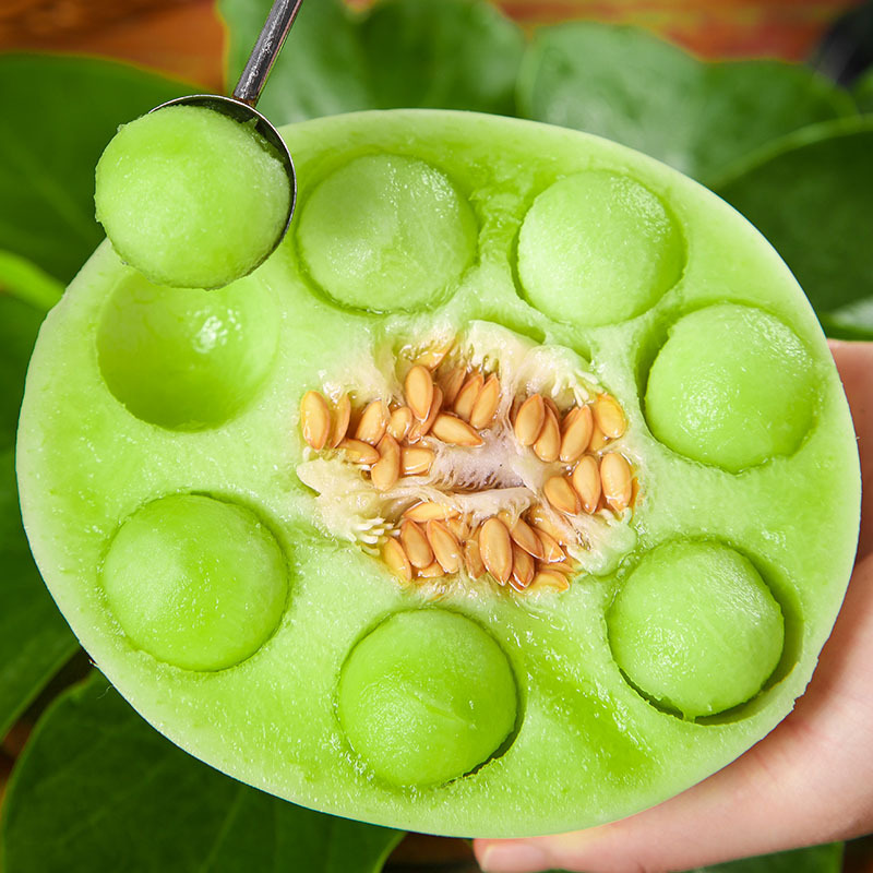 口粮果山东玉菇甜瓜细腻香甜·4.5-5斤