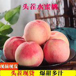 共同