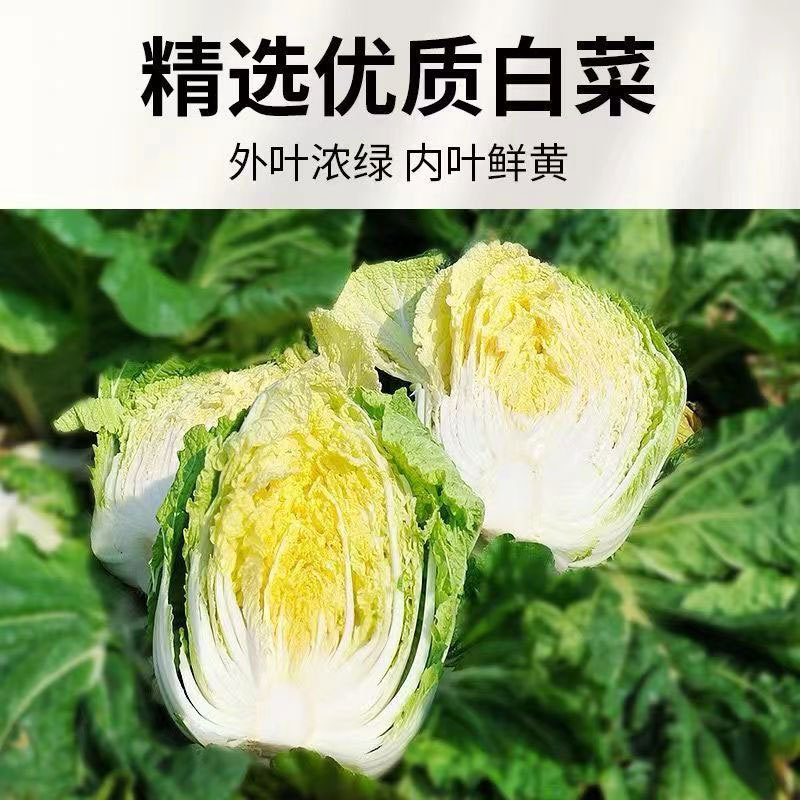  延边朝鲜族-辣白菜250g*10袋