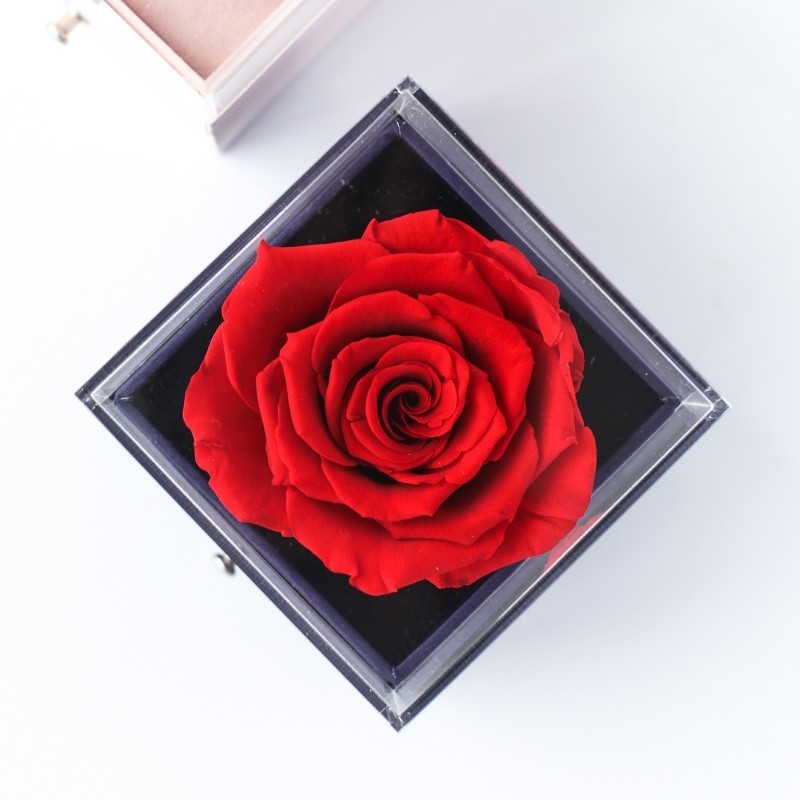 蔷薇花开 精致进口永生花礼品·玫瑰首饰盒