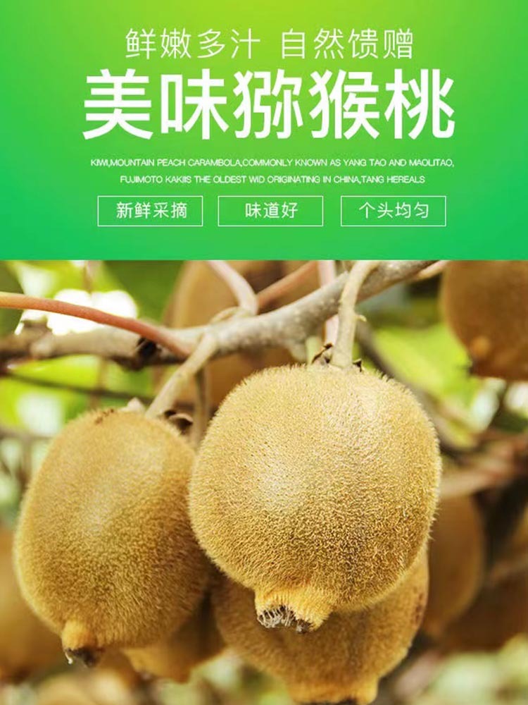 【亚特】陕西绿心猕猴桃带箱5斤【单果120g+】鲜嫩多汁 个头均匀（到货需催熟）