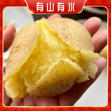 共同
