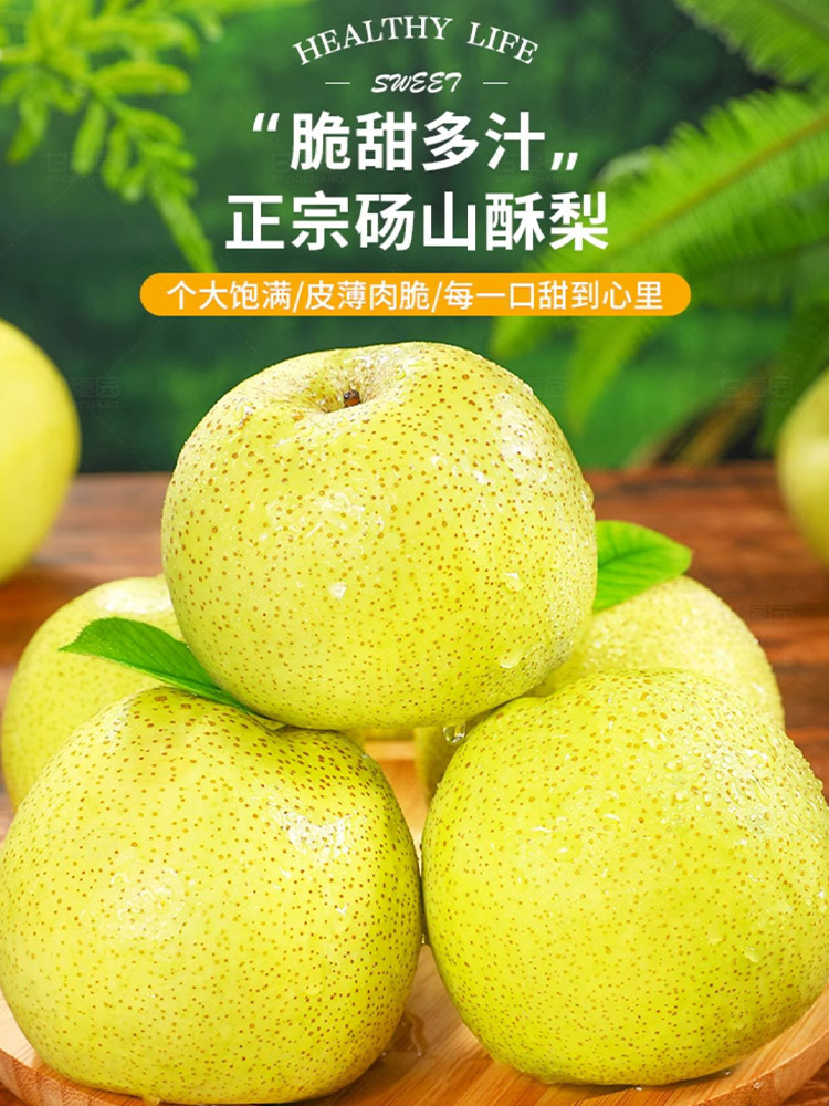 砀山酥梨现摘现发9斤大果【单果350g+】 甜脆多汁 新鲜水果 当季砀山梨