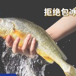 共同
