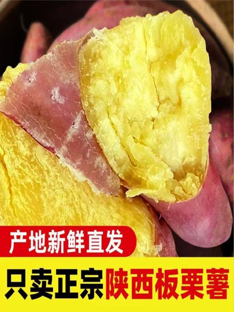 板栗薯 9斤大果 沙地板栗薯红皮黄心番薯