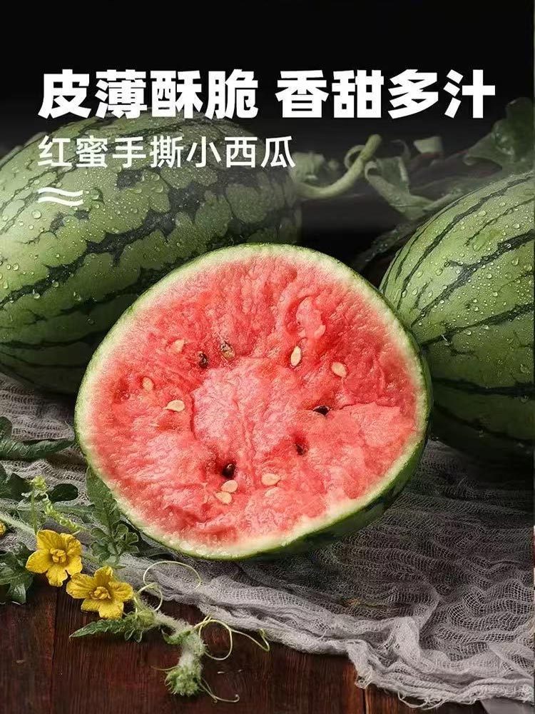 早春红玉小西瓜5-6斤（2-3个）