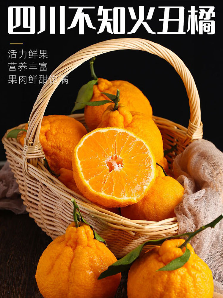 【合众精选】四川不知火丑橘 新鲜现发 大果75-85mm 净重9斤