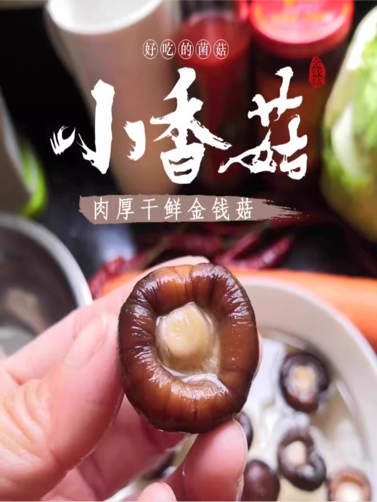 剪根金钱干货小香菇500g