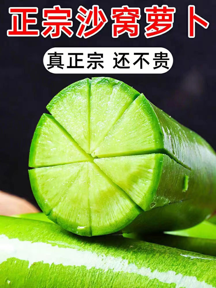 天津-西青区-辛口镇·沙窝冰淇淋萝卜+绿萝卜（各4.5斤）9斤装