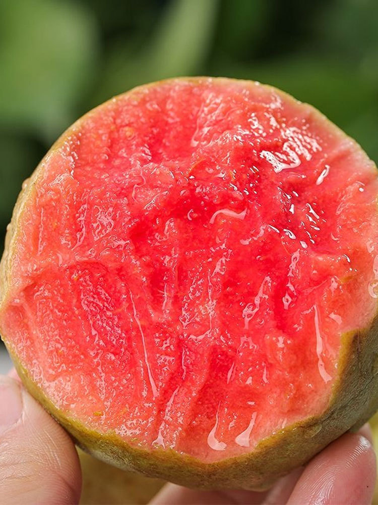 新鲜红心芭乐软糯香甜低糖水果5斤（4.5-5）