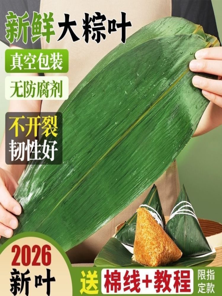 粽子叶 4袋（200片）送100米粽绳 家用真空袋装粽叶子箬竹叶