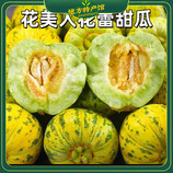 共同