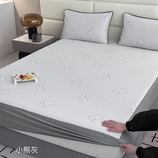 小熊灰
