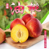 带箱5斤