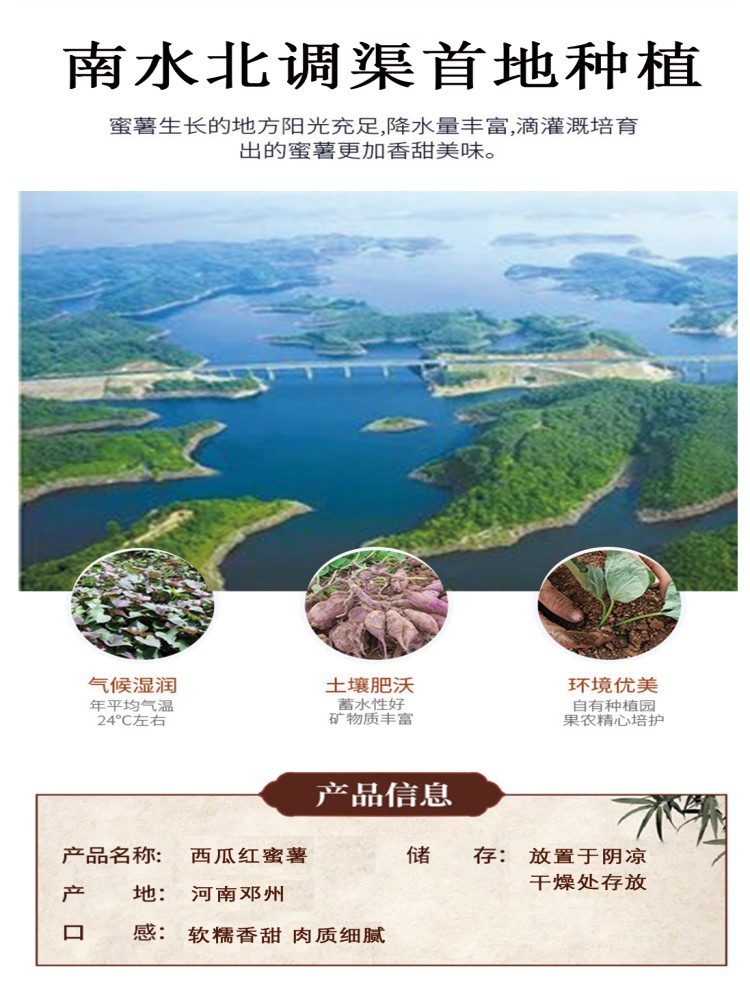 【河南邓州产地】红心蜜薯带箱重9斤（单果约250-500g）