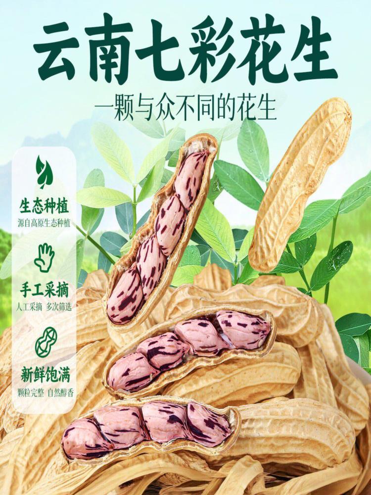 云南带壳熟七彩花生 250克*2包 新货特产种子晒咸干