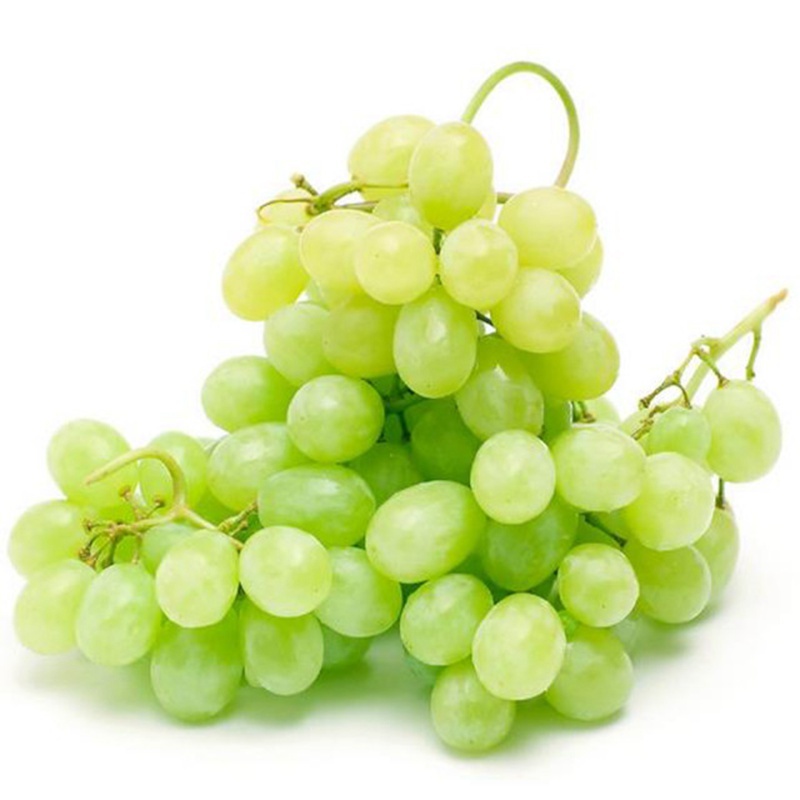 生态维多利亚绿葡萄 3800克以上 北京包邮