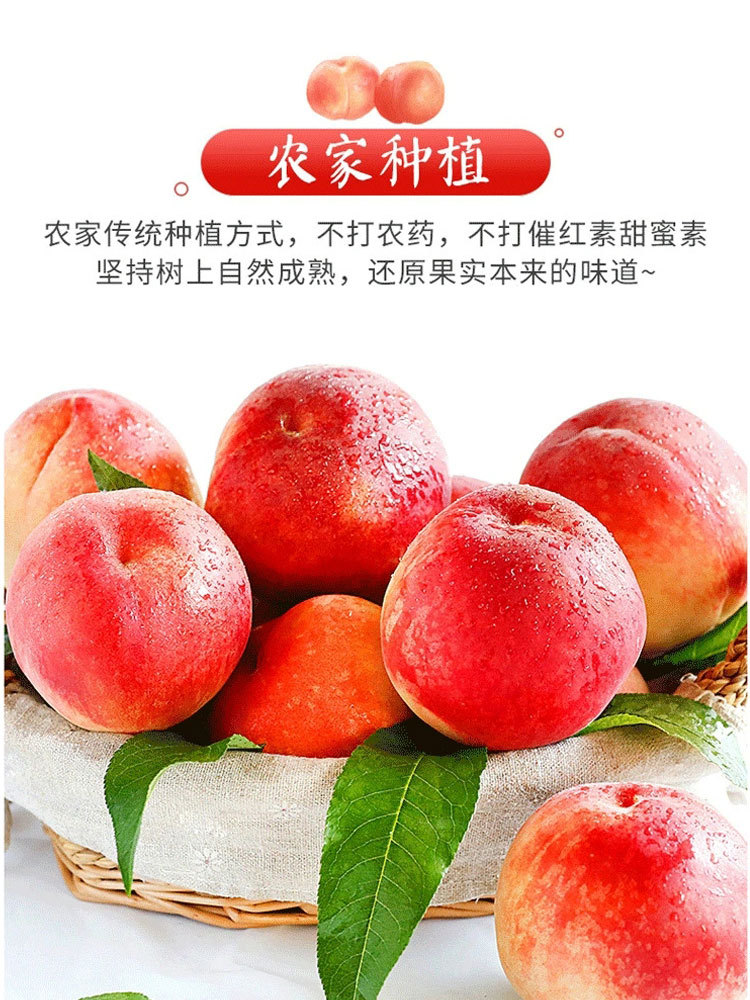 【到手5斤】陕西高山老奶奶水蜜桃（嫩 甜·爆 汁）