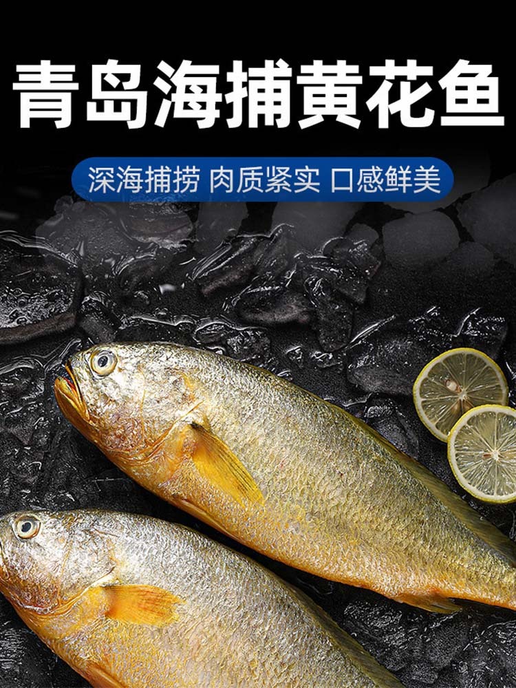 年货 深海捕捞肉质紧实大黄花鱼-（500-600g）/条*2条