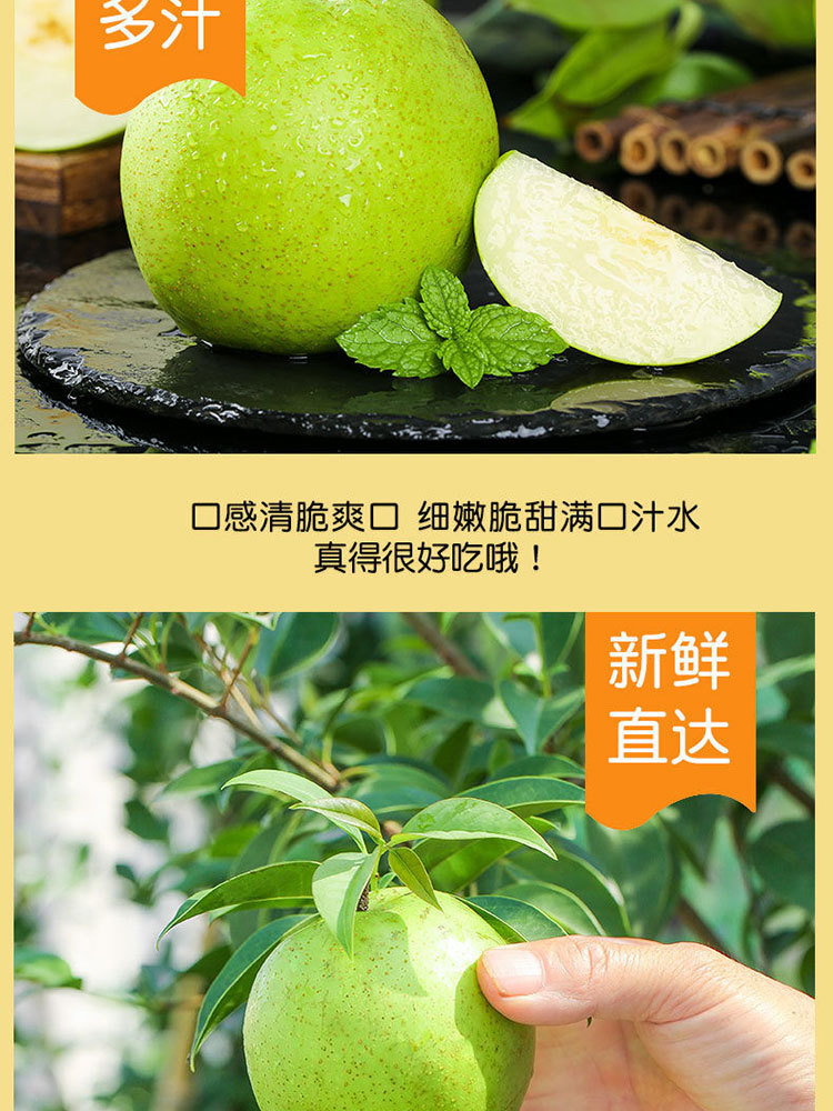 皇冠梨9斤【单果200g+】