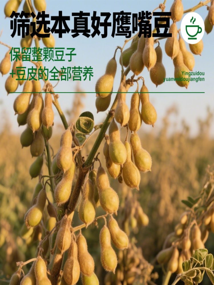 鹰嘴豆原味豆浆粉 400g/罐*4+玻璃杯勺 营养早餐