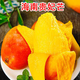 共同