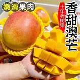 共同