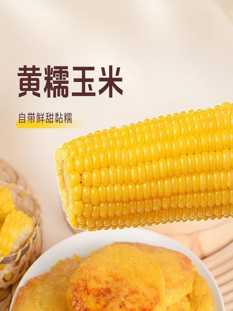 东北特产玉米浆包16个香糯低脂粗粮·玉米饼浆包