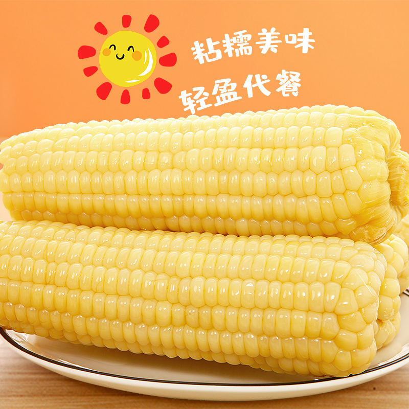 【当季新货】白糯玉米（260g-330g  ）/根*12根