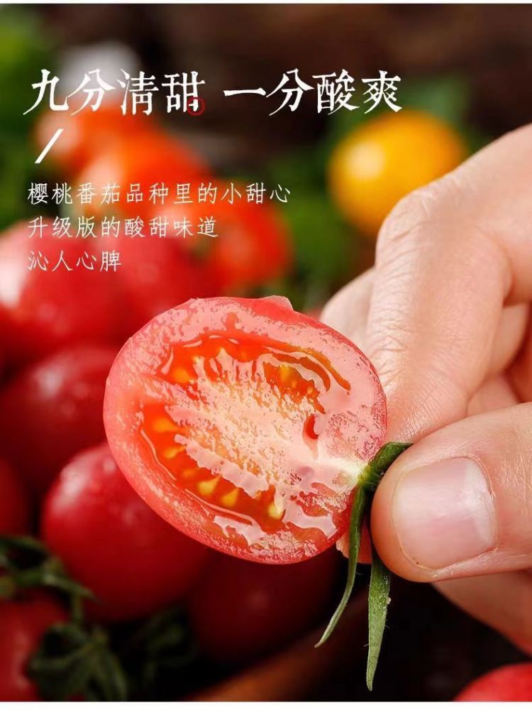 新鲜山东特产千禧小番茄五斤特惠装·统一
