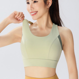 SJFS-SJYJ3129青苹果