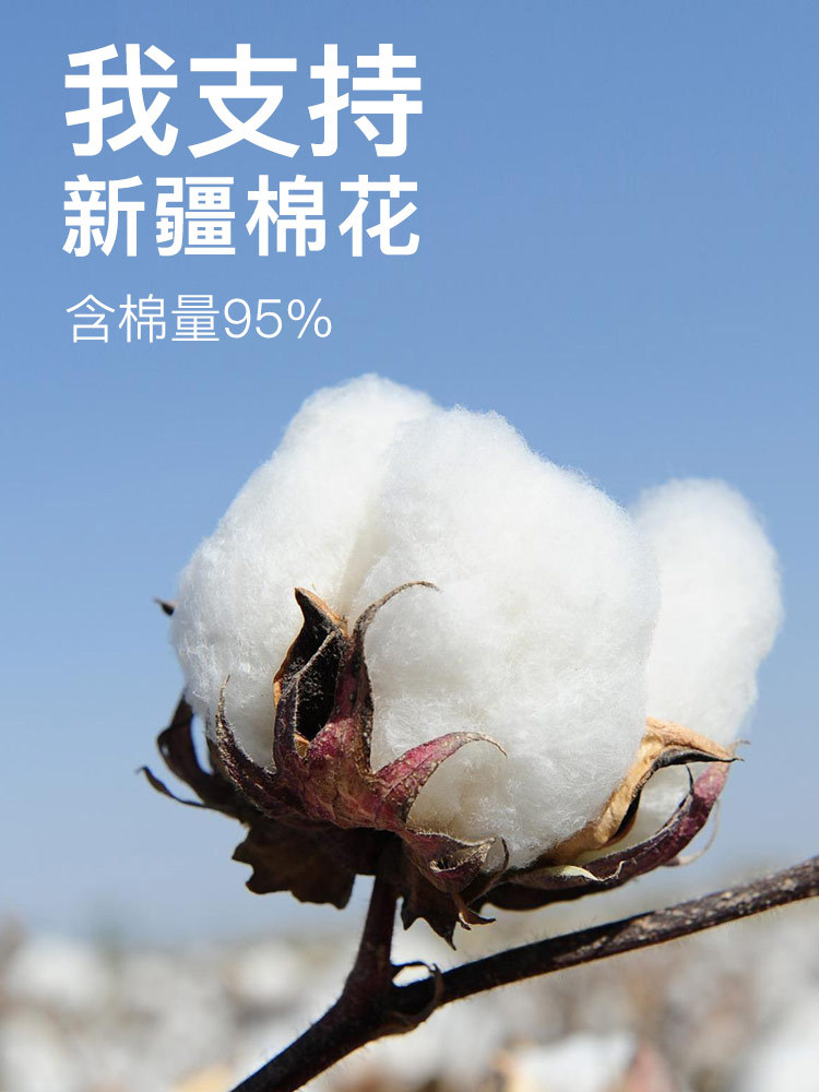 2条装真高腰纯棉薄款大码高弹秋裤打底裤9153#·黑色+浅灰