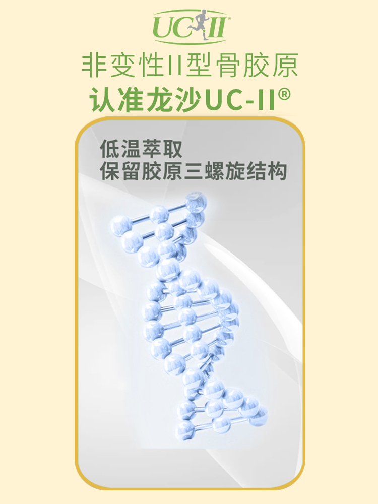 石药牌UC-II骨胶原蛋白片