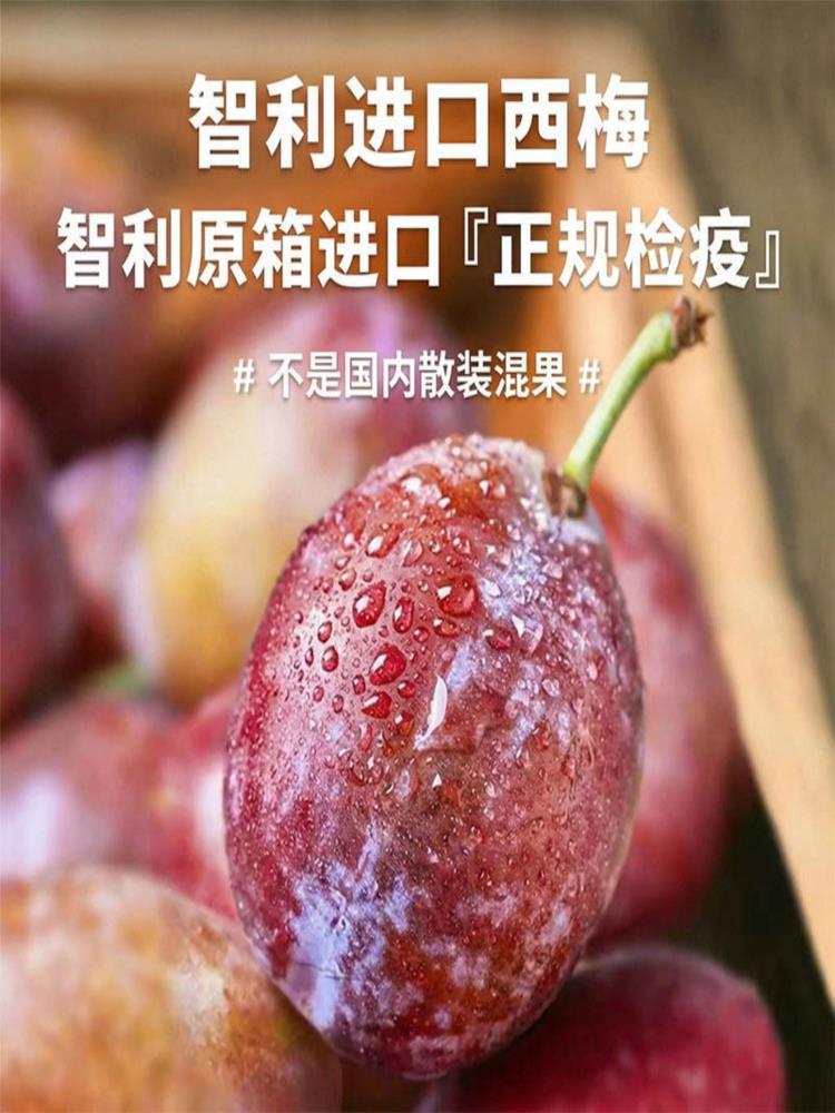 【顺丰速运】利智西梅 3斤 小果 新鲜酸甜李子 当季时令水果