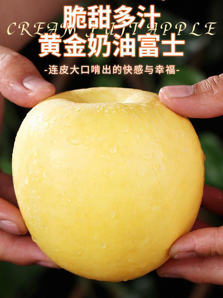 奶油富士净重8.5斤特大果【单果85-90mm】脆甜多汁 圆润饱满 香甜细腻